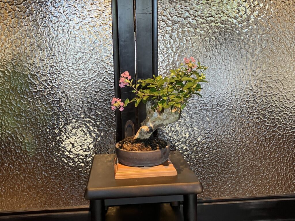 玄関の花（おりょうり椿や）
